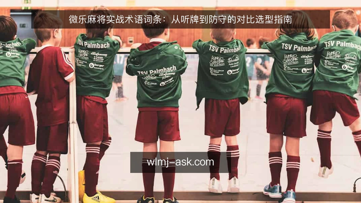 微乐麻将实战术语词条：从听牌到防守的对比选型指南