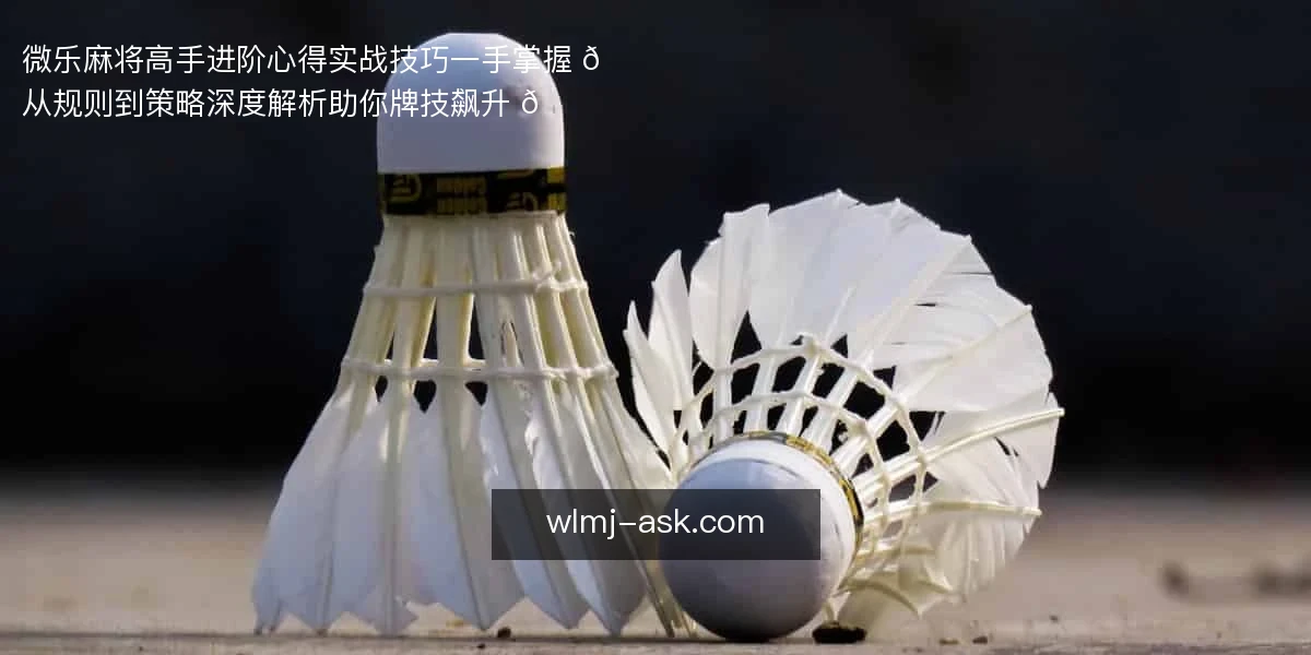微乐麻将